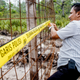 Image for article titled Confirmed: Oil palms were planted on just-burned land outside an Indonesian orangutan sanctuary